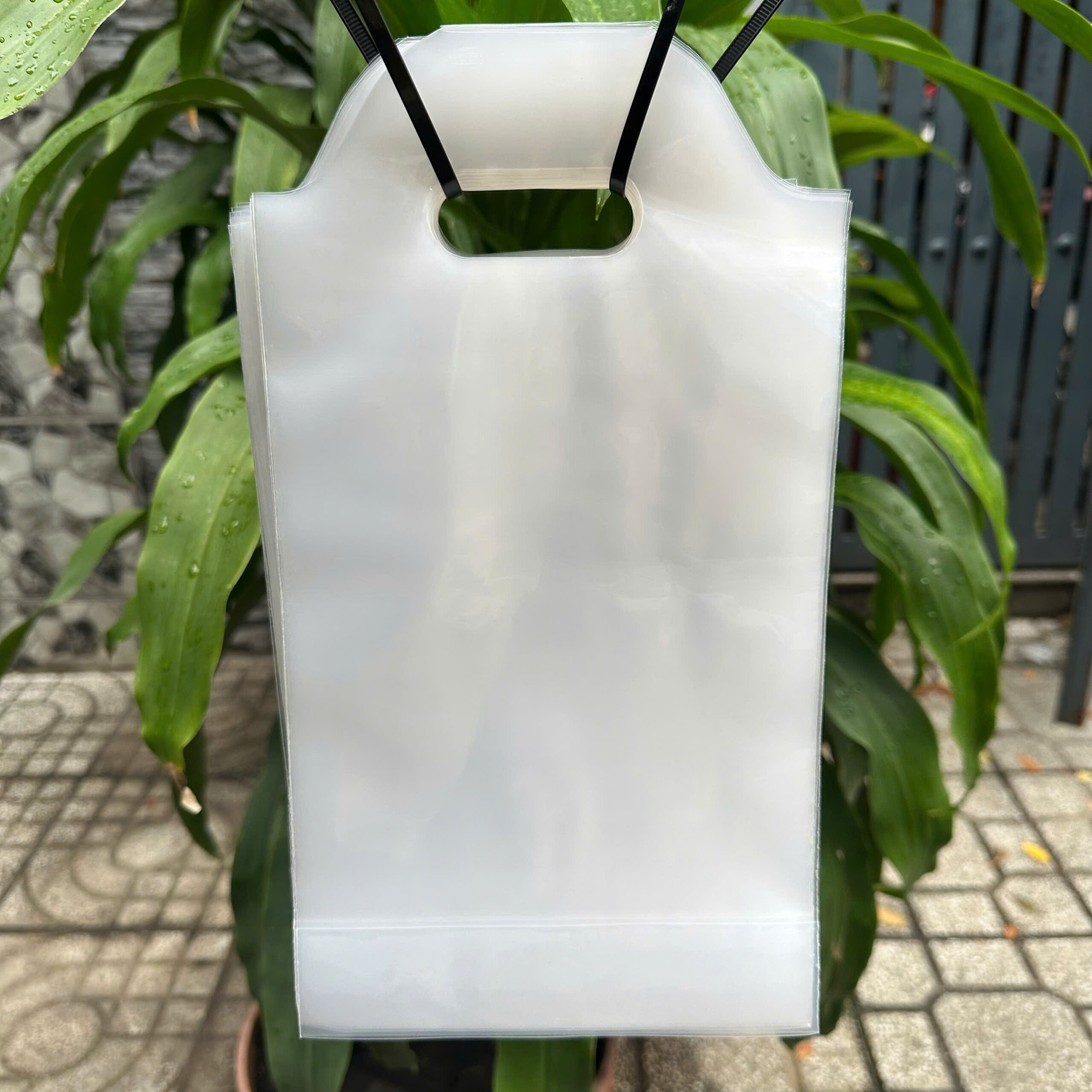 Túi đựng 1 ly